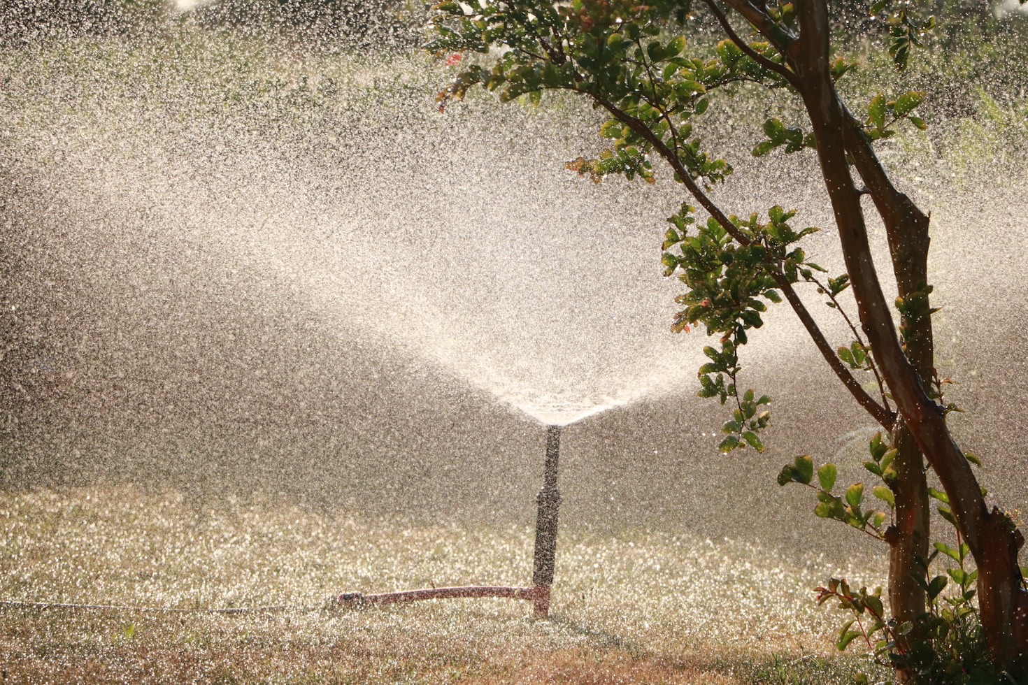 Demostraciones prácticas: tecnología aplicada en jardines
